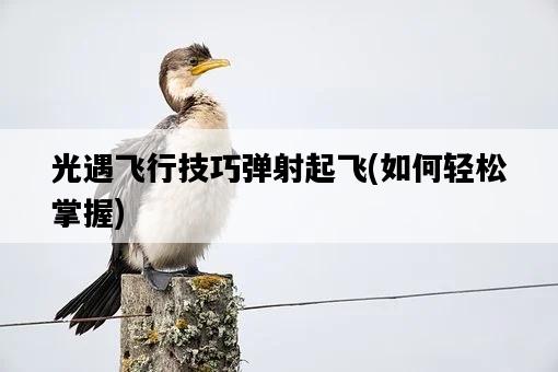 光遇飛行技巧彈射起飛，如何輕松掌握-圖1