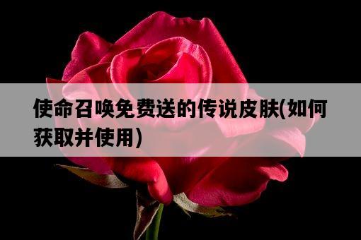 使命召喚免費送的傳說皮膚，如何獲取并使用-圖1