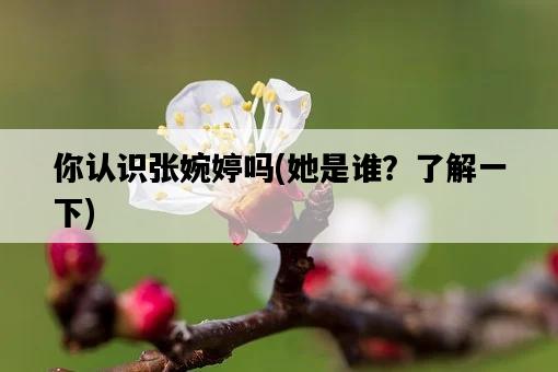 你認識張婉婷嗎，她是誰？了解一下-圖1