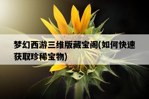 夢幻西游三維版藏寶閣，如何快速獲取珍稀寶物-圖1
