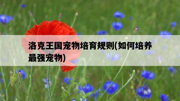 洛克王國寵物培育規則，如何培養最強寵物-圖1