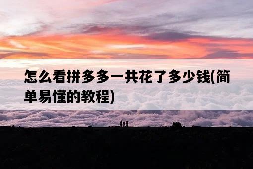 怎么看拼多多一共花了多少錢，簡單易懂的教程-圖1