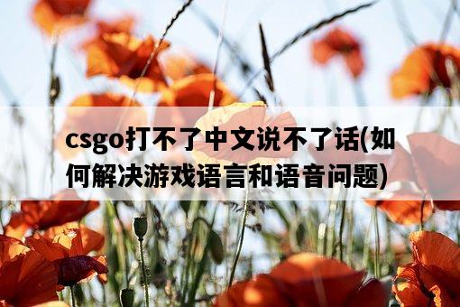 csgo打不了中文說不了話，如何解決游戲語言和語音問題-圖1
