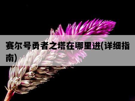 賽爾號勇者之塔在哪里進，詳細指南-圖1