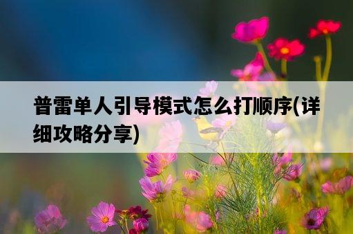 普雷單人引導模式怎么打順序，詳細攻略分享-圖1