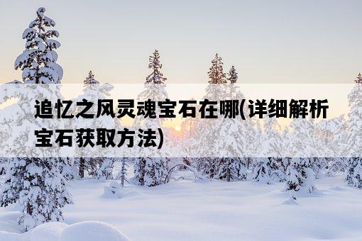 追憶之風靈魂寶石在哪，詳細解析寶石獲取方法-圖1