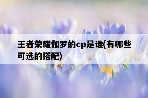 王者榮耀伽羅的cp是誰，有哪些可選的搭配-圖1