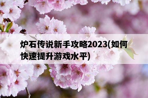 爐石傳說新手攻略2023，如何快速提升游戲水平-圖1