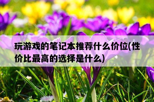 玩游戲的筆記本推薦什么價位，性價比最高的選擇是什么-圖1
