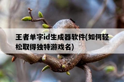 王者單字id生成器軟件，如何輕松取得獨特游戲名-圖1