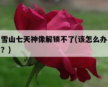 雪山七天神像解鎖不了，該怎么辦？-圖1