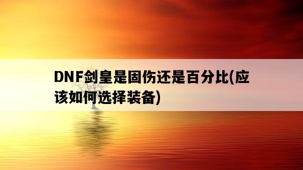DNF劍皇是固傷還是百分比，應該如何選擇裝備-圖1