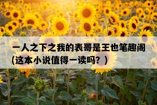 一人之下之我的表哥是王也筆趣閣，這本小說值得一讀嗎？-圖1