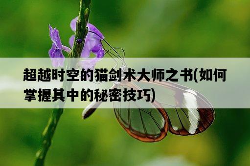 超越時空的貓劍術大師之書，如何掌握其中的秘密技巧-圖1