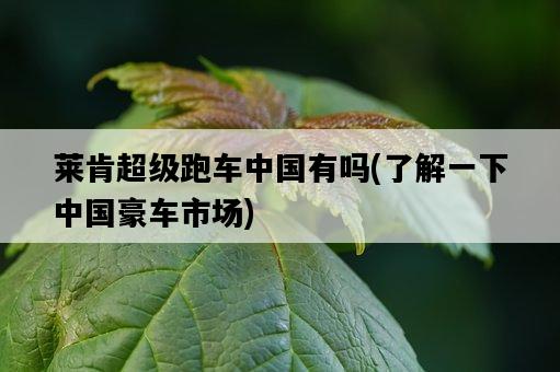 萊肯超級跑車中國有嗎，了解一下中國豪車市場-圖1