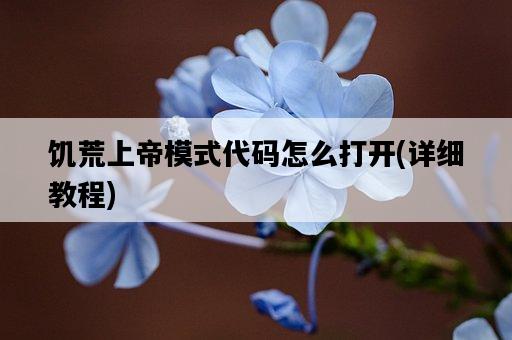 饑荒上帝模式代碼怎么打開，詳細教程-圖1