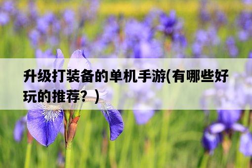 升級打裝備的單機手游，有哪些好玩的推薦？-圖1