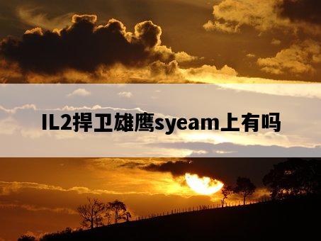 IL2捍衛雄鷹syeam上有嗎-圖1