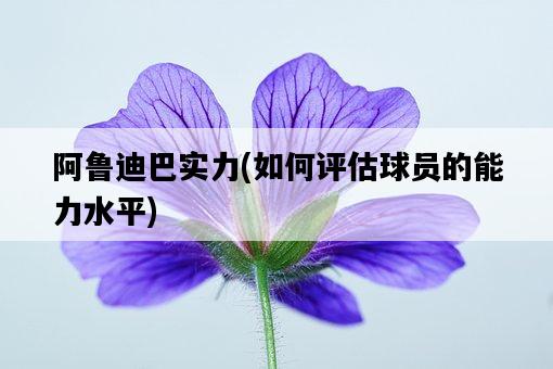 阿魯迪巴實力，如何評估球員的能力水平-圖1