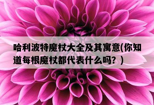 哈利波特魔杖大全及其寓意，你知道每根魔杖都代表什么嗎？-圖1