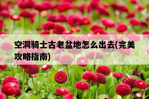空洞騎士古老盆地怎么出去，完美攻略指南-圖1