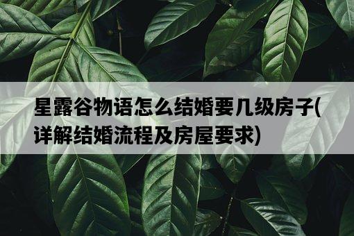 星露谷物語怎么結婚要幾級房子，詳解結婚流程及房屋要求-圖1