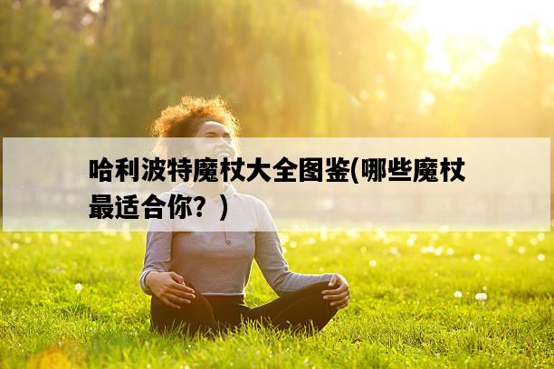 哈利波特魔杖大全圖鑒，哪些魔杖最適合你？-圖1