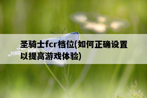 圣騎士fcr檔位，如何正確設置以提高游戲體驗-圖1