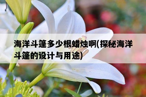 海洋斗篷多少根蠟燭啊，探秘海洋斗篷的設計與用途-圖1