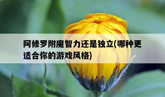 阿修羅附魔智力還是獨立，哪種更適合你的游戲風格-圖1