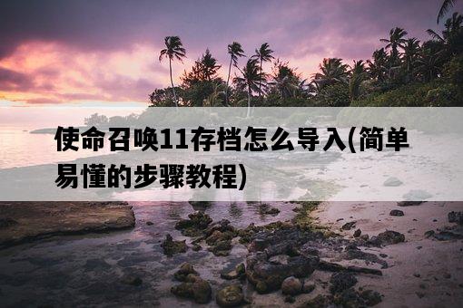 使命召喚11存檔怎么導入，簡單易懂的步驟教程-圖1