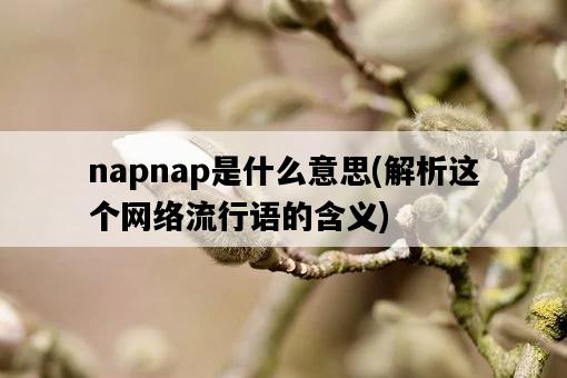 napnap是什么意思，解析這個網絡流行語的含義-圖1