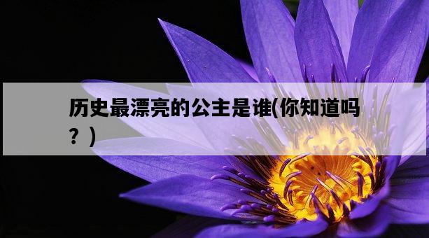 歷史最漂亮的公主是誰，你知道嗎？-圖1