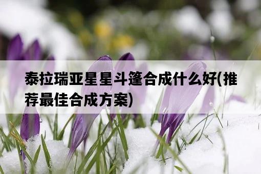泰拉瑞亞星星斗篷合成什么好，推薦最佳合成方案-圖1