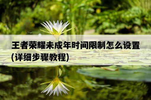 王者榮耀未成年時間限制怎么設置，詳細步驟教程-圖1