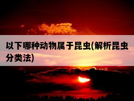 以下哪種動物屬于昆蟲，解析昆蟲分類法-圖1