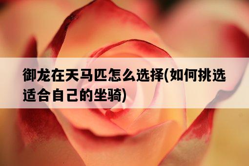御龍在天馬匹怎么選擇，如何挑選適合自己的坐騎-圖1