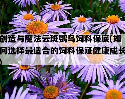 創造與魔法云斑鸚鳥飼料保底，如何選擇最適合的飼料保證健康成長-圖1