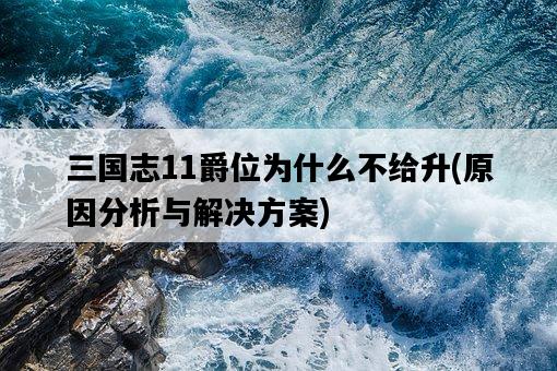 三國志11爵位為什么不給升，原因分析與解決方案-圖1