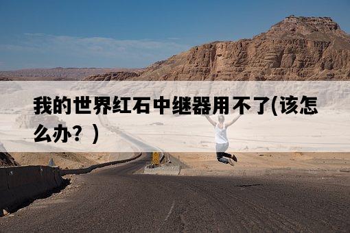 我的世界紅石中繼器用不了，該怎么辦？-圖1