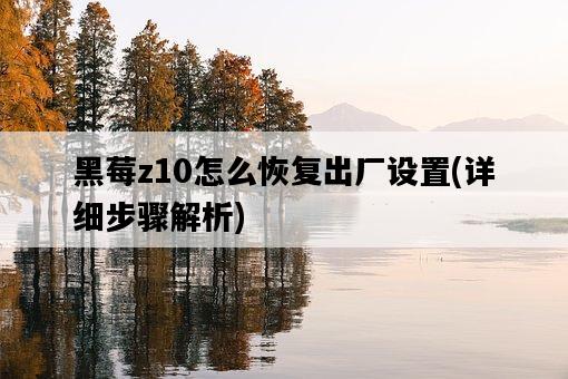 黑莓z10怎么恢復出廠設置，詳細步驟解析-圖1