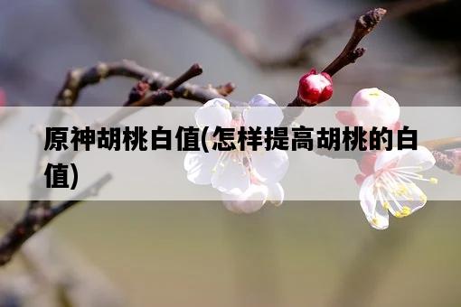 原神胡桃白值，怎樣提高胡桃的白值-圖1