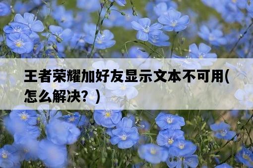 王者榮耀加好友顯示文本不可用，怎么解決？-圖1