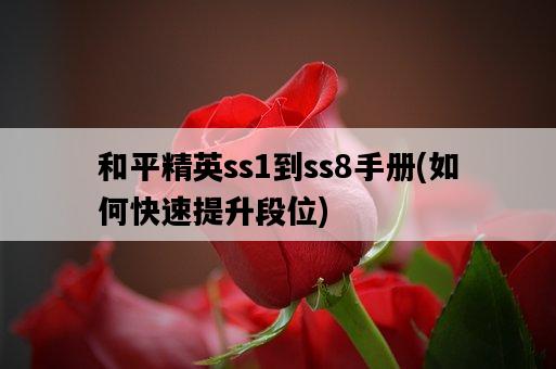 和平精英ss1到ss8手冊，如何快速提升段位-圖1