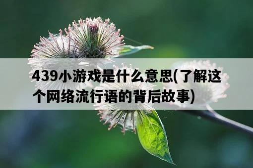 439小游戲是什么意思，了解這個網絡流行語的背后故事-圖1