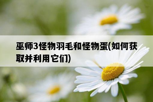 巫師3怪物羽毛和怪物蛋，如何獲取并利用它們-圖1