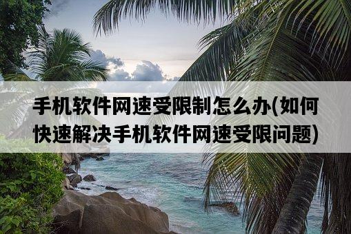 手機軟件網速受限制怎么辦，如何快速解決手機軟件網速受限問題-圖1