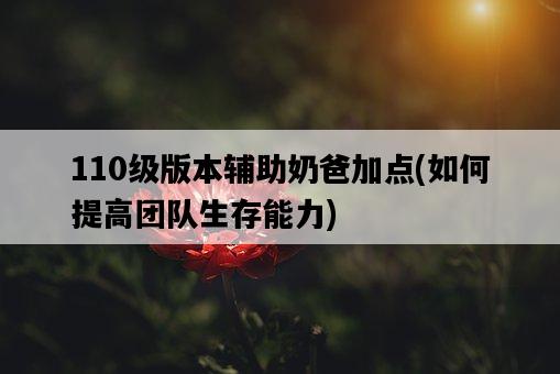 110級版本輔助奶爸加點，如何提高團隊生存能力-圖1