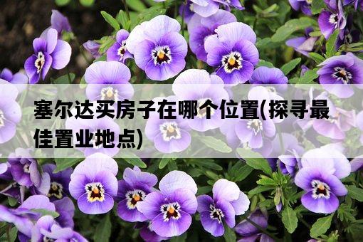 塞爾達買房子在哪個位置，探尋最佳置業地點-圖1
