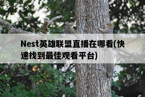 Nest英雄聯盟直播在哪看，快速找到最佳觀看平臺-圖1